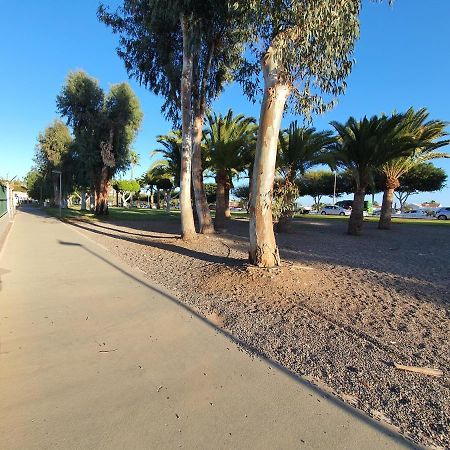 Pool & Wifi Free Shared Flat Private Room By Ocean Park Maspalomas  Exterior foto
