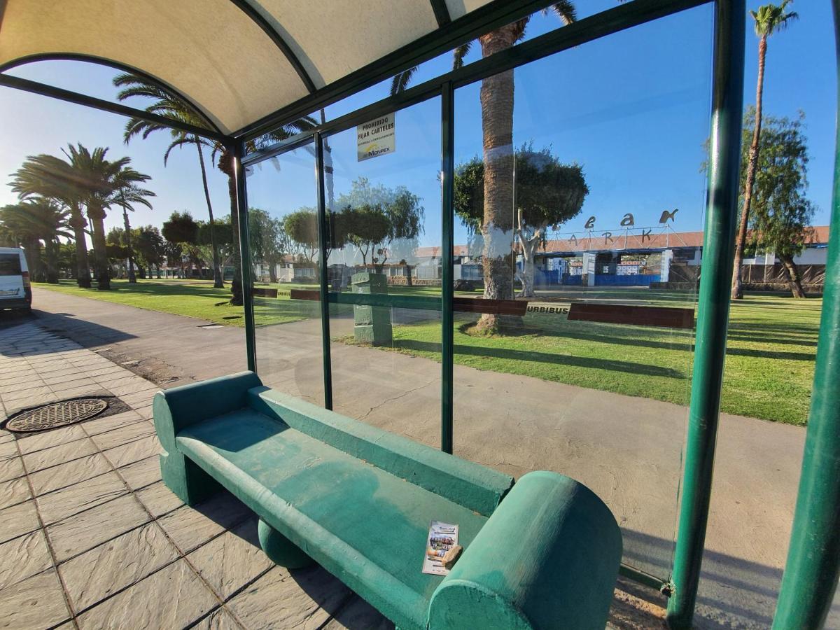 Pool & Wifi Free Shared Flat Private Room By Ocean Park Maspalomas  Exterior foto